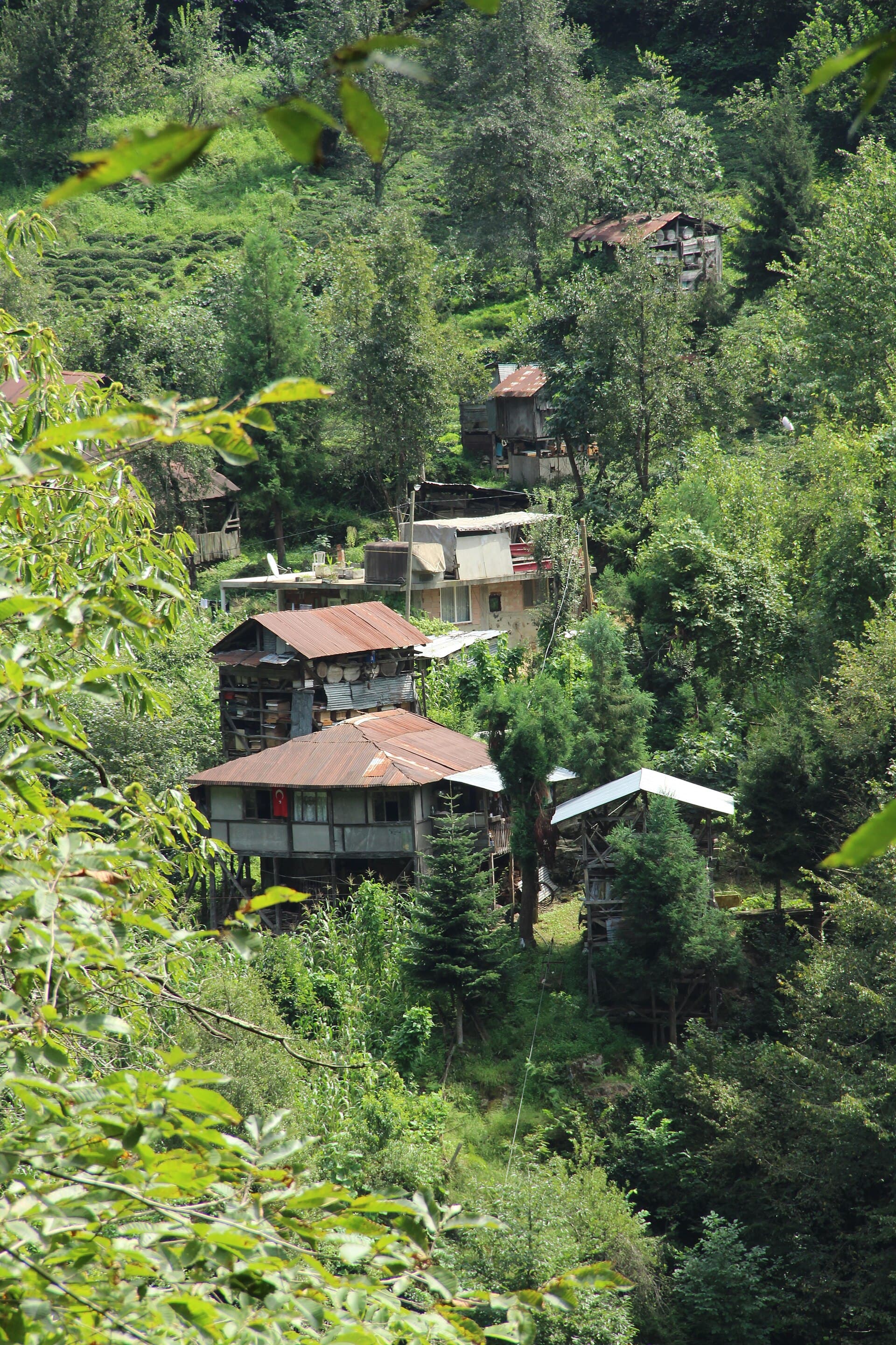 Ormanın içinde geleneksel ahşap köy evi