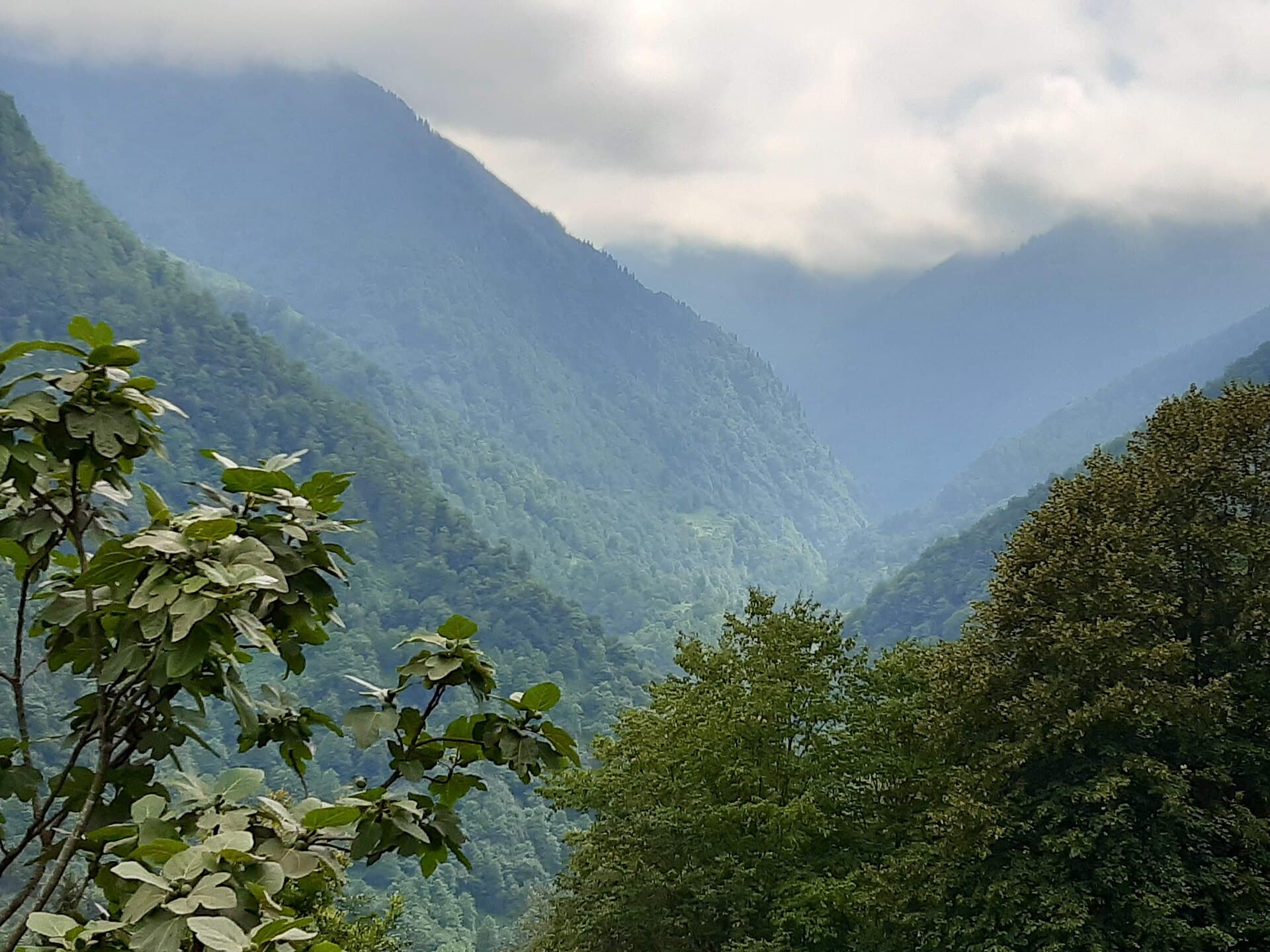 Papilat köyünden derin, yeşil vadi manzarası